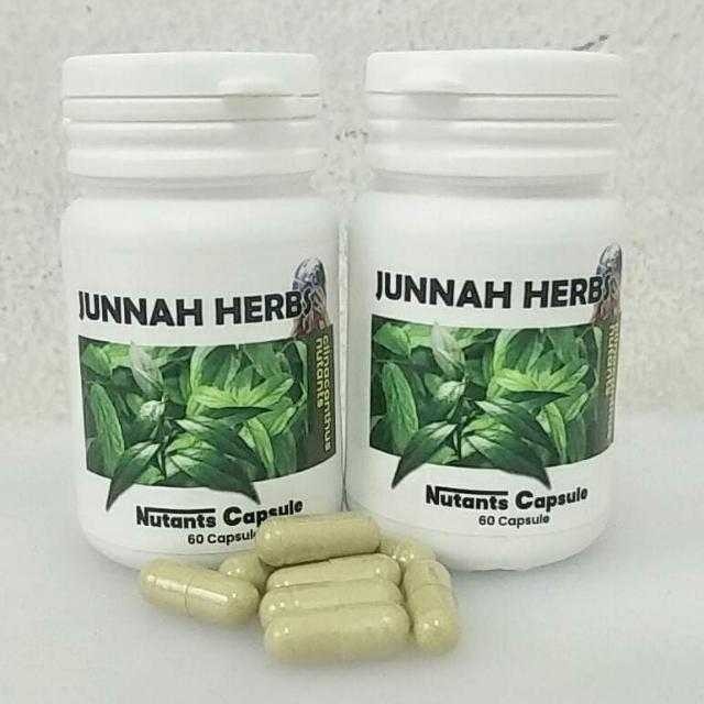 Herba Belalai Gajah