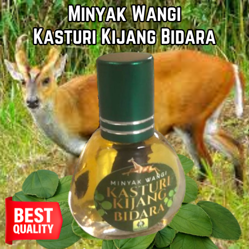 Minyak Wangi Kasturi Kijang Bidara