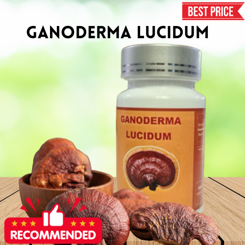 Ganoderma Lucidum 4600mg